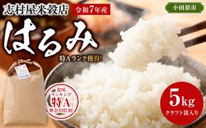 志村屋米穀店 令和7年産小田原市産　はるみ  5kg 142069_DE001