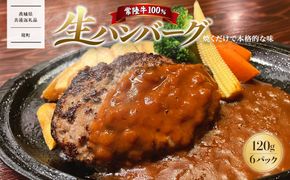 【茨城県共通返礼品】常陸牛100％ 生ハンバーグ6個 無添加 K2082