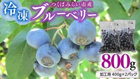 つくばみらい市 産 冷凍 ブルーベリー 800g ( 400g ×2パック ) 国産 農薬無使用 自家農場 果物 就労継続支援 フルーツ おいしい 冷凍ブルーベリー フリーズ ［DG02-NT］