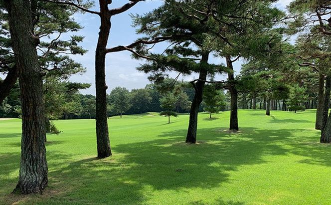 平日限定 嵐山カントリー倶楽部 ゴルフプレー券 4名様 カントリークラブ ゴルフ 利用券 体験 ゴルフ場 お土産 昼食 キャディー スポーツ コンペ ゴルフコンペ 運動 2グリーン 利用チケット  埼玉県 嵐山町