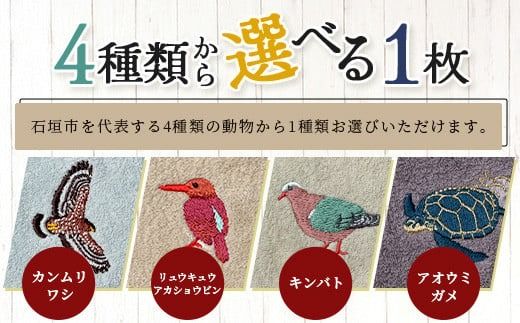 【4種のうちお好きな1枚をお届け!】地域の自然を守るタオル 選べる1枚｜沖縄 石垣 今治 タオル ハンカチ 自然保護 オーガニック 草木染｜　KB-183-1