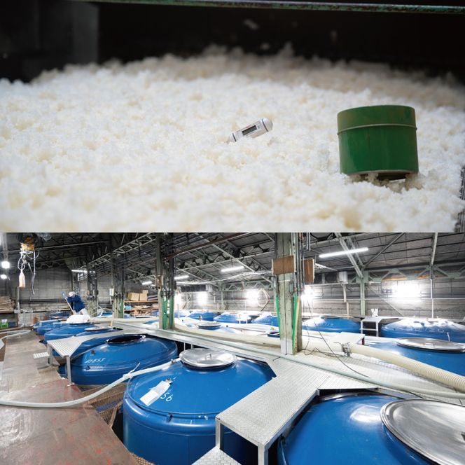 【茨城県共通返礼品/水戸市】副将軍 大吟醸　一升瓶【日本酒 SAKE 山田錦 フルーティ ゴールドメダル 受賞】(CO101)