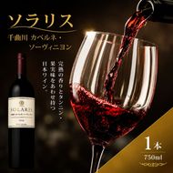 ワイン 信州ワイン 赤 ソラリス 千曲川 カベルネ・ソーヴィニヨン 750ml×1本 赤ワイン お酒 ぶどう酒 タンニン 完熟した香り 果実味 スパイシー 晩酌 おうちディナー 飲み物 家飲み 宅飲み