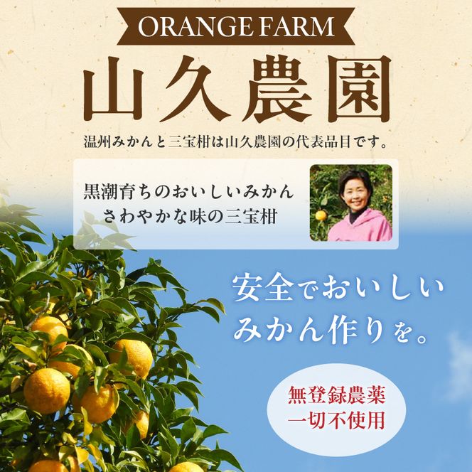 有田みかん 【訳あり 家庭用】約5kg（小玉大玉混合）_ZP6112