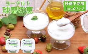 ヨーグルト 無糖 プレーン 球磨の恵ヨーグルト 1kg×2パック 砂糖不使用 乳製品 配送不可:沖縄、離島 発酵食品 朝食 間食 新鮮 生乳 とろ～り もっちり 酸味がない 2個セット 2キロ 大容量 