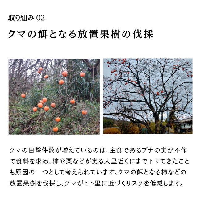《クマといい距離プロジェクト》寄附のみ3,000円