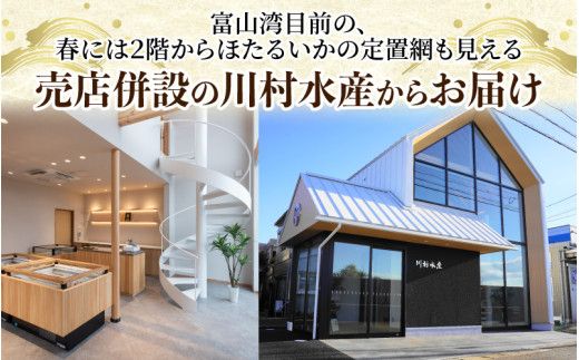 「富山湾ほたるいか」刺身・しゃぶしゃぶ用 ポン酢付 [A-001012] /　ほたるいか いか ホタルイカ イカ 沖漬け 川村水産 ホタルイカ 蛍烏賊 朝どれ 朝獲れ おつまみ 珍味 海鮮 名産 旬 観光 ギフト 送料無料 お取り寄せグルメ 北陸 富山 冷凍 ほたるいか