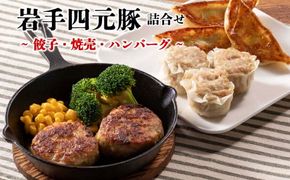 カスイ　岩手四元豚（餃子・焼売・ハンバーグ）詰合せ 【089】