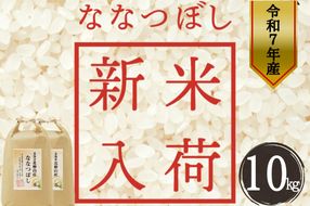 【特Aランク】令和7年産新米 北海道 せたな町産 ななつぼし 精米 10kg ふるさと納税
