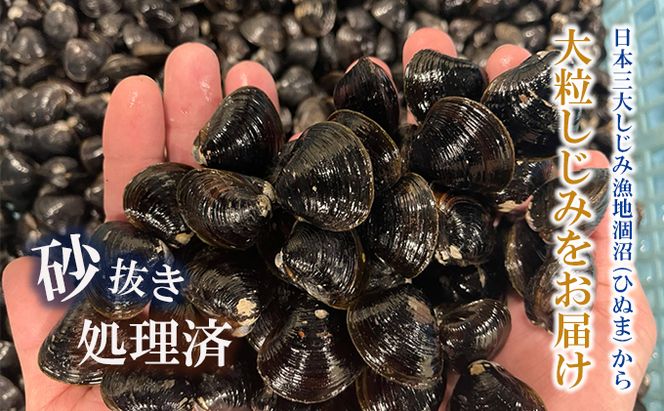 涸沼産 大粒 冷凍 シジミ 1.4kg （350ｇ×4袋） しじみ 蜆 大和しじみ ヤマトシジミ 大玉 砂抜き済 冷凍 味噌汁 スープ 魚貝類 貝 オルニチン コハク酸 小分け