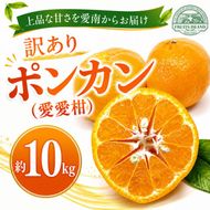 【先行予約】 訳あり ポンカン 約10kg 愛愛柑 14000円 わけあり ぽんかん みかん 蜜柑 果物 くだもの 果実 柑橘 ミカン mikan フルーツ ゼリー ジュース 甘い ジューシー デザート ブランド 特産品 国産 産直 産地直送 糖度 愛媛県 愛南町 フルーツアイランドマルエム直販
