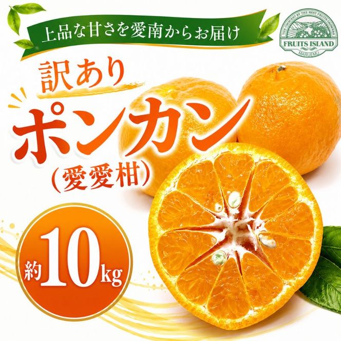 【先行予約】 訳あり ポンカン 約10kg 愛愛柑 14000円 わけあり ぽんかん みかん 蜜柑 果物 くだもの 果実 柑橘 ミカン mikan フルーツ ゼリー ジュース 甘い ジューシー デザート ブランド 特産品 国産 産直 産地直送 糖度 愛媛県 愛南町 フルーツアイランドマルエム直販
