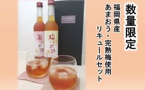 【数量限定】濃いめのお酒 飲み比べ 500ml×2本セット（苺のお酒/梅のお酒） 洋酒 リキュール 
