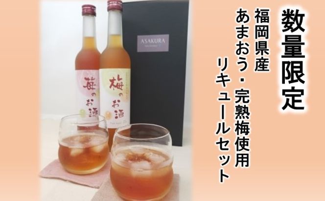 【数量限定】濃いめのお酒 飲み比べ 500ml×2本セット（苺のお酒/梅のお酒） 洋酒 リキュール 
