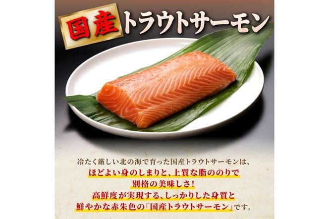 国産ワンフローズントラウトサーモン【800g】