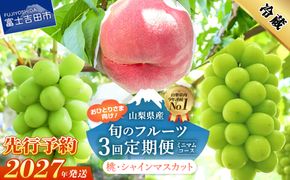 【2027年発送 先行予約】【ミニマム 3回定期便】厳選 旬のフルーツ定期便（桃3玉・シャインマスカット1房×2回配送）　フルーツ 定期便 桃 シャインマスカット 果物 フルーツ くだもの 旬 もも ぶどう 山梨 富士吉田