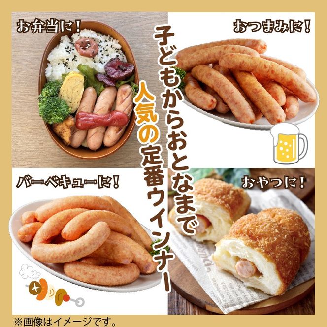 【昔ながらのお肉屋さん】ヒライの手造りポークウインナー 500g《 ソーセージ 送料無料 ウインナー ウィンナーソーセージ 国産 冷凍 お弁当 おつまみ豚肉 ポークウインナー 》【2400I00132】