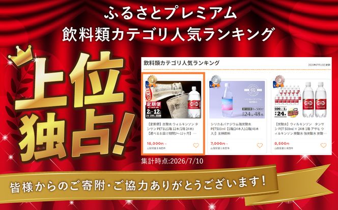 【定期便】炭酸水 ウィルキンソン タンサン PET1L(1箱 12本/2箱 24本) 【選べるお届け期間2～12ヶ月】 強炭酸水 炭酸 炭酸飲料 定期便 毎月 隔月山梨 富士吉田