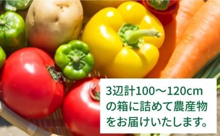 福岡県 糸島産 旬 の 野菜 盛り合わせ セット《糸島》【株式会社フロンティア・アドバンス】 [AWC006] 旬 季節 野菜 詰め合わせ セット 糸島野菜 直売所