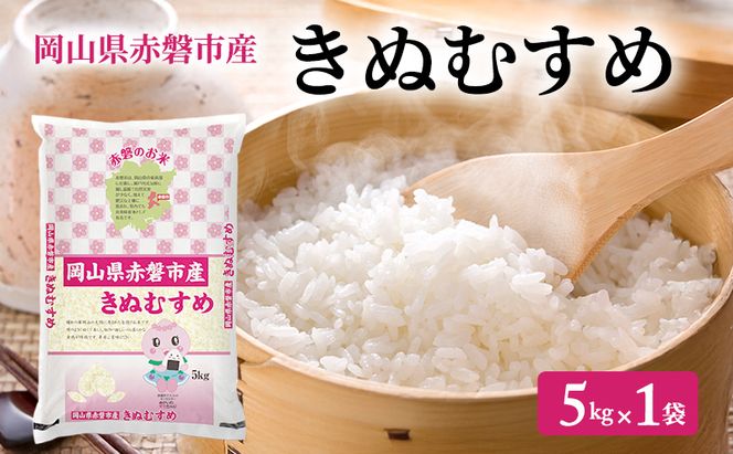 米 2025年産 きぬむすめ 5kg 1袋 岡山県赤磐市産 精米 白米 こめ お米 特Aランク