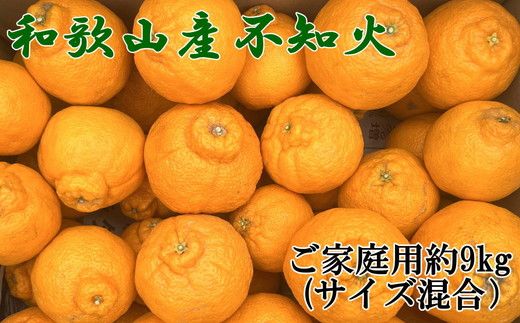【先行予約】【農園直送】和歌山県産 不知火 約9kg（サイズ混合・ご家庭用）