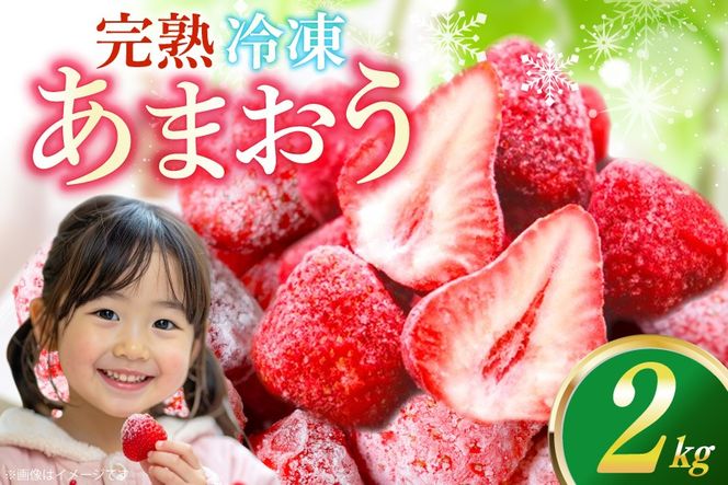 いちご 冷凍 冷凍 完熟 あまおう 2kg [ストロベリーファーム 福岡県 宇美町 um40azp070000] イチゴ 苺 フルーツ 冷凍フルーツ 果物 果実 甘い あまい 冷凍いちご 冷凍苺 冷凍イチゴ