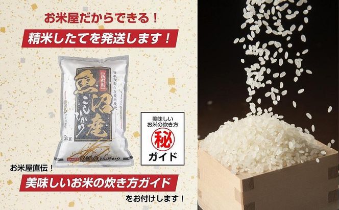【無地熨斗】 棚田米 魚沼産 コシヒカリ 5kg 新潟県 十日町市 松代地区 限定 棚田 こしひかり （お米屋秘伝！美味しいご飯の炊き方ガイド付き） 精米 ブランド米 銘柄米 