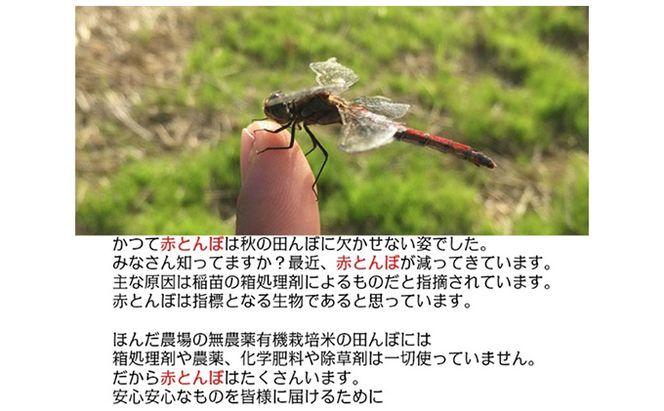 天日干有機米こしひかり「天地の誉」白米5kg お米 コシヒカリ 石川県産 