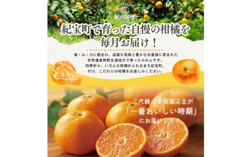 みかん【全10回】 柑橘 定期便 石本果樹園 店主おすすめの柑橘セットをお届け！ / フルーツ 果物 くだもの 柑橘 フルーツ定期便 くだもの定期便 定期便 フルーツセット くだものセット みかん ミカン 温州みかん 不知火 せとか セミノール ポンカン カラマンダリン 甘夏 清見 オレンジ ジュース みかんジュース 果実飲料 産地直送 旬 人気 おすすめ 詰め合わせ お楽しみ 三重県 紀宝町  【tkb509】