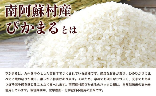 ぴかまる パックご飯 選べる 5個 10個 20個 パックごはん 米 パックライス 南阿蘇村産 一般社団法人南阿蘇村農業みらい公社《30日以内に出荷予定(土日祝を除く)》熊本県 南阿蘇村 送料無料 お米 米 ご飯 玄米 パック---sms_pikamaru_30d_24_9500_5p---