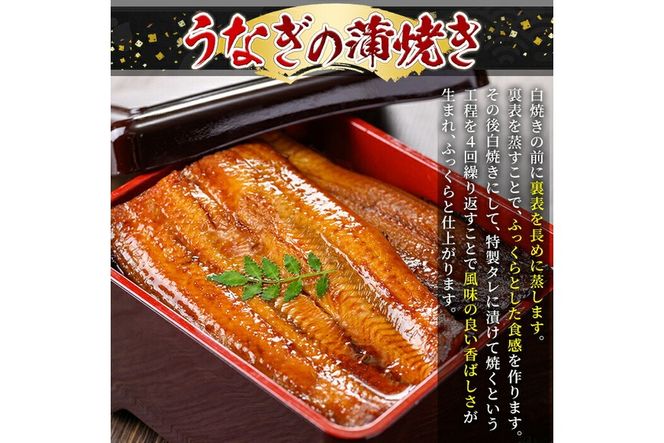 a982 ＜味付けが選べる＞うなぎ蒲焼き・うなぎ塩麹焼き！1尾分or2尾分(1尾あたり170g～190g・最大合計340g以上)【うえの屋】姶良市 うなぎ 鰻 ウナギ 蒲焼き 蒲焼 かばやき カット タレ 塩こうじ 塩麹 焼き 鹿児島 国産 冷凍