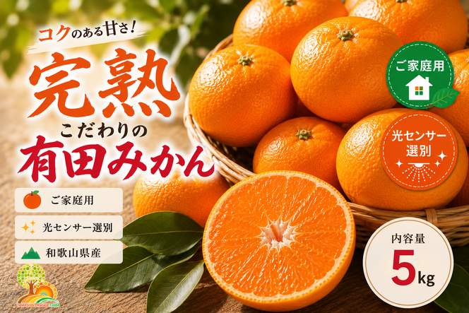 ＼光センサー選別／こだわりの完熟有田みかん 5kg＋150g(傷み補償分)【ご家庭用】サイズ混合 有機質肥料100% ｜ みかん 有田みかん 温州みかん ミカン 温州ミカン 柑橘 温州 甘い コク 産地直送
