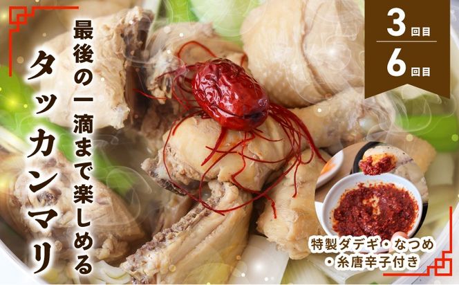G4001 【定期便】セミの韓食　食べ比べ定期便 全6回【本場 純豆腐 韓国 海鮮 スープ 惣菜 人気 韓国料理  鶏 鍋 水炊き 鶏肉 きむち 無添加】