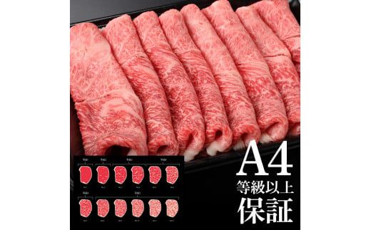 【CF-R7hbk】土佐和牛霜降りスライス(うで)450g 牛肉 肉 お肉 和牛 国産 牛 ウデ肉 スライス A5 最高級 特選 霜降り 国産 豪華 贅沢 美味しい おいしい 柔らかい 肉汁 すき焼き しゃぶしゃぶ