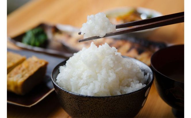 【令和8年産 先行予約】【玄米】江戸伝承厳選棚田米4kg（4kg×2） お米 コメ 4kg