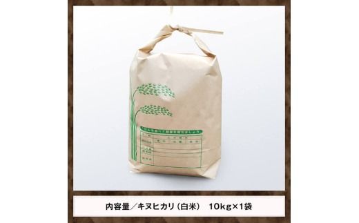 【令和7年産】黒木農園のお米「キヌヒカリ(白米)」10kg 【 米 お米 白米 国産 宮崎県産 きぬひかり おにぎり 】[D03224]