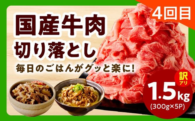 mrzZ107 【定期便】家計応援 定期便4万円コース【小分け 家計応援 鶏肉 豚肉 牛肉 カット済み 切り落とし 簡単調理】