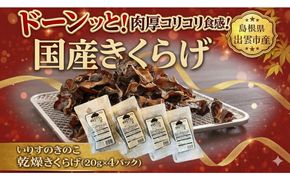 いりすのきのこ　乾燥きくらげ（20g×4パック） 322032_FL002