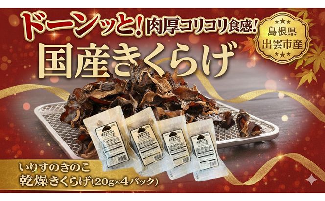 いりすのきのこ　乾燥きくらげ（20g×4パック） 322032_FL002