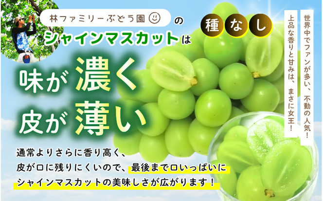 【訳あり】2026年予約！ 岡山県産シャインマスカット 林ファミリーのシャインマスカット 約2kg（約3～5房） / ぶどう ブドウ 葡萄 岡山 真庭市 果物 フルーツ 新鮮 人気 数量限定 家庭用 お試し たっぷり ぶどう専門 【hfbd022-02】
