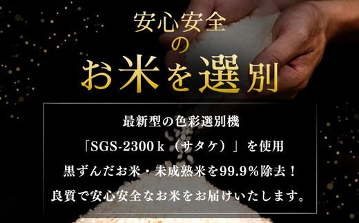 【令和7年産】【精米】コシヒカリ5kg｜茨城県常総市産　精米 米　お米　白米　ご飯　コメ こめ　こしひかり