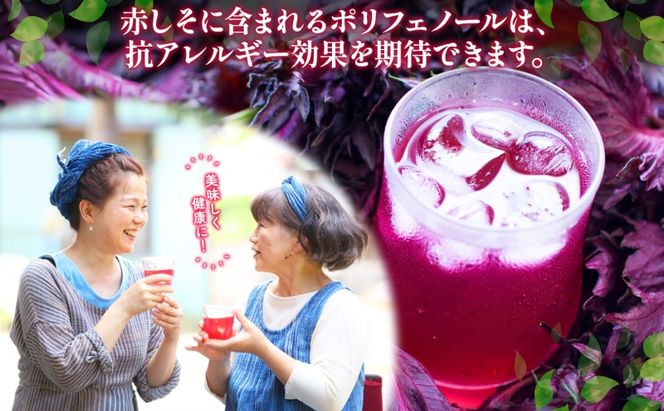北海道 赤しそ サイダー 230ml×24本 10月末までお届け シソ しそ 大葉赤紫蘇 炭酸 さっぱり ポリフェノール 契約農家 手詰み 産地直送 ピュアフーズとうや 送料無料 飲料類 炭酸飲料 果実飲料 ジュース 