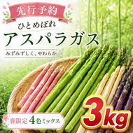 【先行予約】春限定 ひとめぼれアスパラガス 3kg 4色 食べ比べ グリーン パープル ピンク ホワイト 産地直送 農家直送 野菜 新鮮 旬 アスパラ 春野菜 サラダ カラフル バーベキュー BBQ おすそ分け ファミリー 大容量 ギフト 送料無料