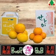 定期便 貯蔵 はっさく ＆ ハウス せとか 全2回 南泰園 二級品 小箱 セット みかん  BS208