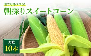 朝採り スイートコーン (10本入) とうもろこし ※離島配送不可