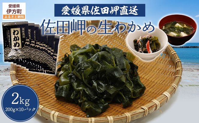 yQɕzycEtzc̐킩߁i200g×10P) ւ̔zs IKTP012