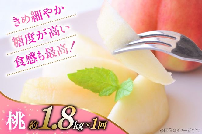 桃 約 1.8kg 1回 シャインマスカット 1.0kg 1回 【2027年発送】 先行予約 【王道コンビ！】 定期便2回 NS-1019 [韮崎翠緑 山梨県 韮崎市 20744988] 桃 シャインマスカット もも シャイン マスカット ぶどう 葡萄 くだもの 果物 フルーツ