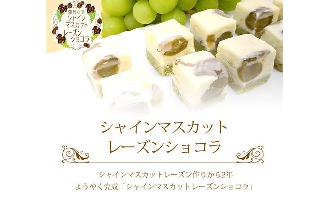  シャインマスカットレーズンショコラ＆生クラシックショコラ 019-001