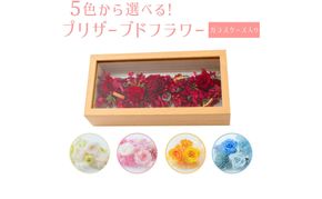 【ガラスケース入り】プリザーブドフラワー【※ご希望の色をお選びください】