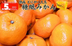 熟成 みかん とにかく 大玉 箱込5kg ( 内容量 4.4kg )2Lサイズ以上 秀品 優品 混合 有田みかん 和歌山産 産地直送 家庭用【みかんの会】 	AX342